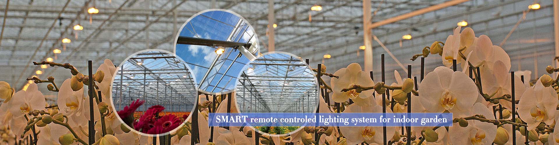 smart remote controled lighting system